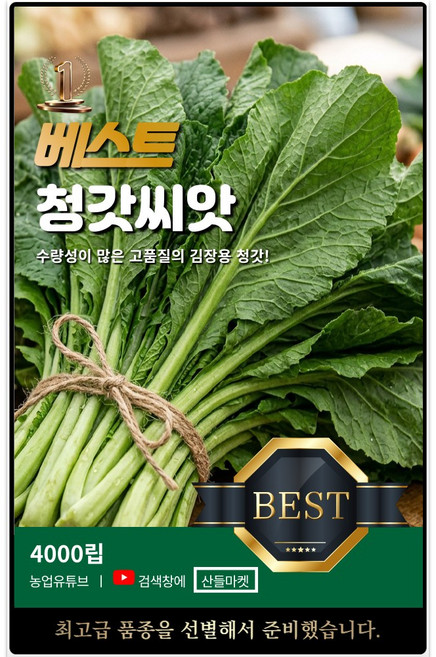 베스트 청갓 씨앗 4000립 수량성 많은 김장용 청갓씨 종자, 1개