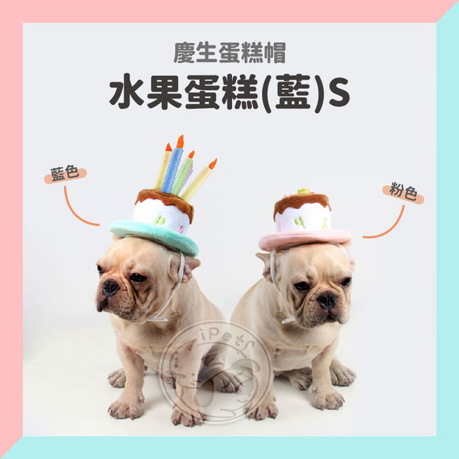 寵星球 寵物生日蛋糕帽, 藍.水果蛋糕帽.S, 1個