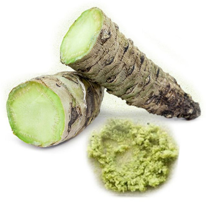 생와사비 고추냉이 생고추냉이 생와사비뿌리(강판포함), 35g, 2개