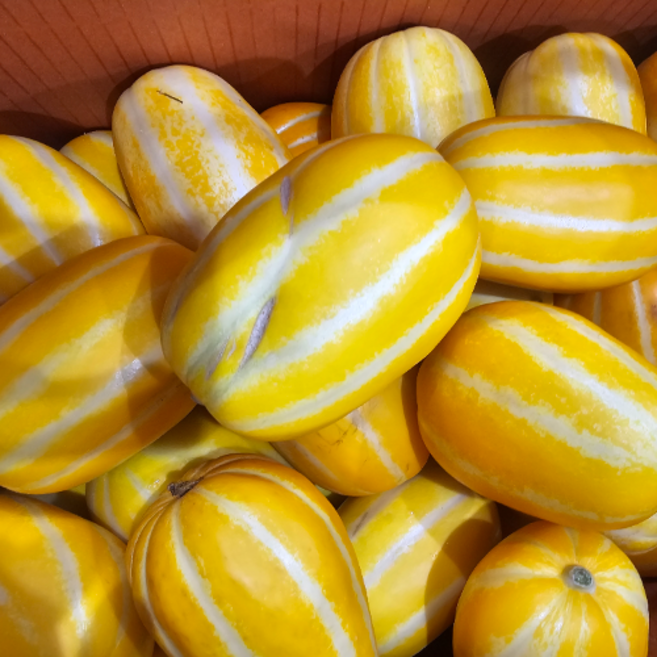 한정수량특가 산지직송 고당도 성주 참외, 1박스, 1kg 가정용 랜덤과