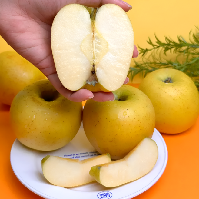 [정품]싱싱담 시나노골드 사과 고당도 황금사과, 1개, 정품 2kg 중과