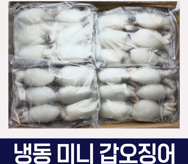 다인수산몰) 갑오징어 베이비이까 미니갑오징어 2.16kg 식당 도매, 9미(20/40), 1개