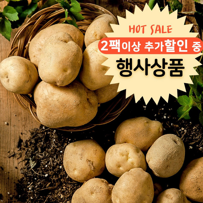 당뇨환자용 강원도 프리미엄감자 스테비아감자 샤인감자 수미 휴게소알감자 600g, 1개