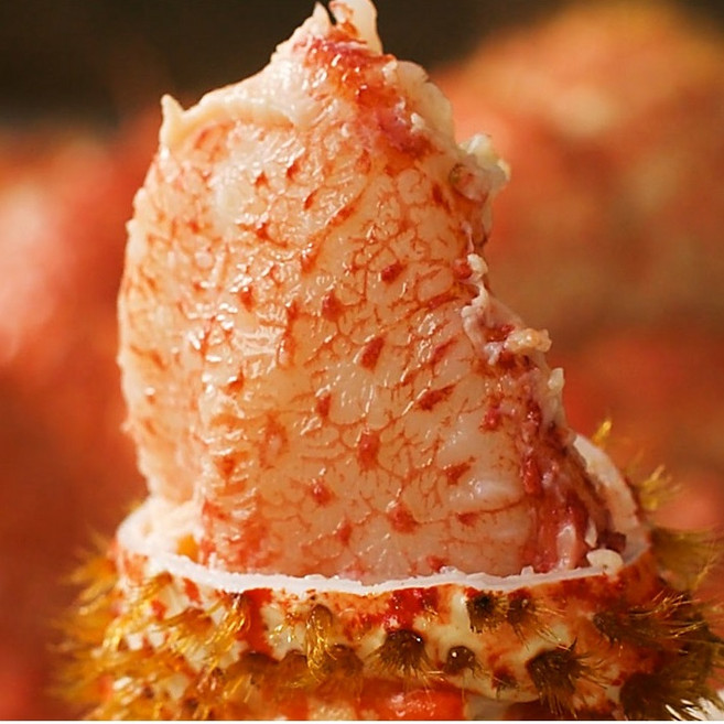 자숙 자연산 스노우 레드 크랩 3마리 급속 냉동 붉은 대게, 1세트, 1.2kg 이상