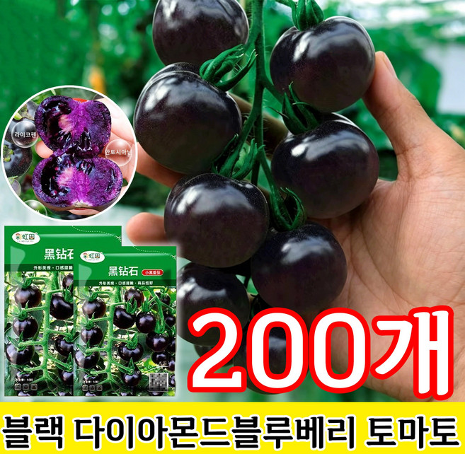 블루베리 토마토 씨앗 블루베리 토마토 모종 방울토마토씨앗 루테인/비타민C, 200개