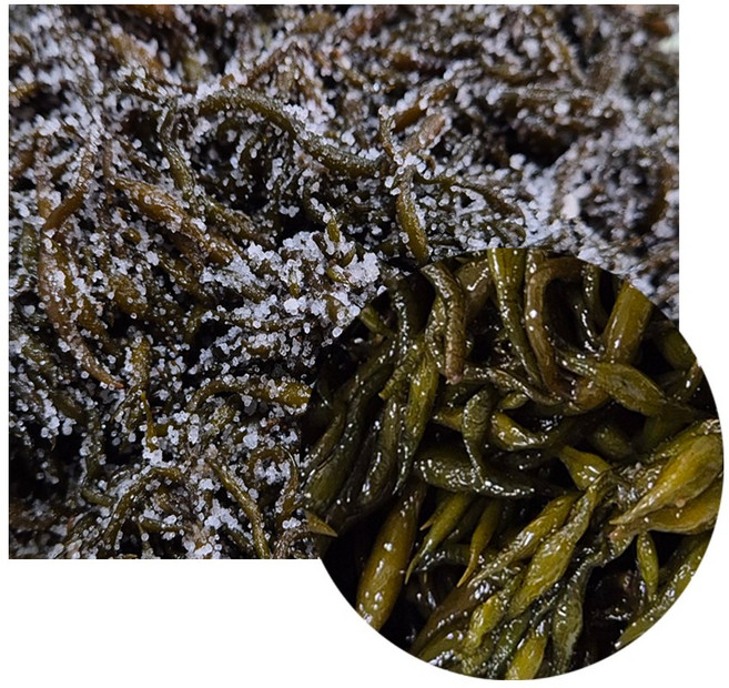 [삼화해조류] 염장 톳, 2개, 500g