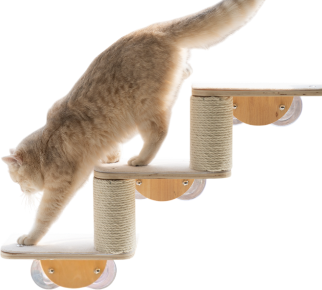 디바피스 고양이 창문 원목 캣타워 캣워커 캣선반 스텝 해먹, 3단계단, 1개