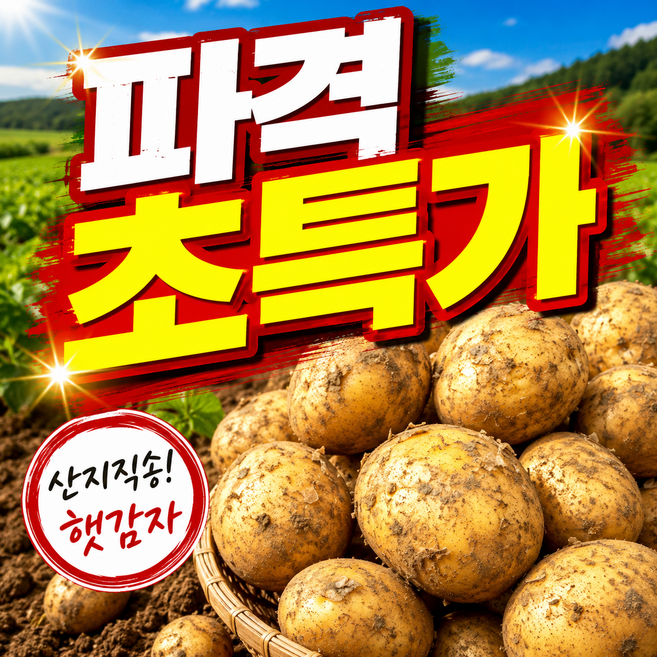[100박스한정판매] 국내산 수미감자 쪽득하고포슬포슬한 햇감자, 1박스, 10kg(중)