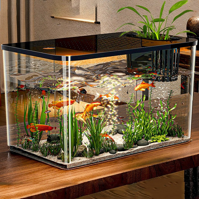 혜신 깨지지않는 안심어항 투명 넓은 어항, 1개, 블랙