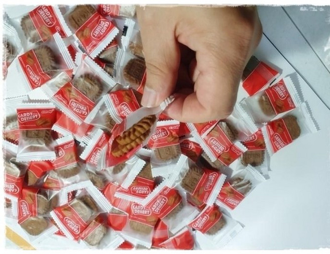 카디 커피메이트 비스킷 1kg(약176봉지낱개 354개)특대용량, 1개, 1kg