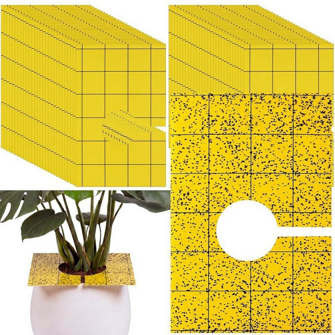 미국출고 평점4.5+ 238965 Mysora 50 Pack Yellow Pre-Cut Sticky Traps Bulk Gnats 3 x 5 Inch Dual Sided Bug, 100