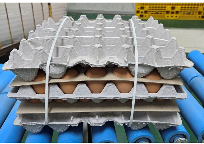 [알부자집] 무항생제계란 왕란, 30구, 2개