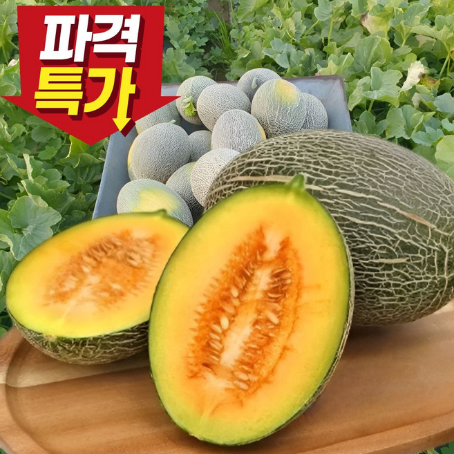 [시즌특가] 꿀당도 고당도 산지직송 하미과메론, 1박스, 5kg(가정용못난이)