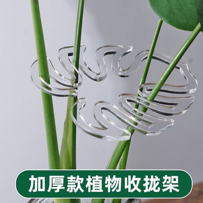 龜背竹支撐桿支撐架 綠植固定神器, 1個, 龜背竹支撐架：（綠植必備）收攏根莖加厚耐用：葉片形狀【3個裝】多角支撐