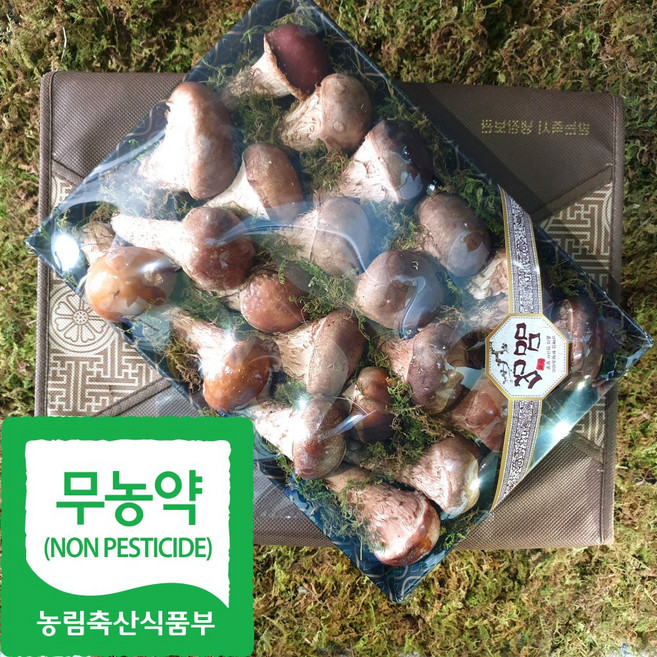 국내산 친환경 참송이 버섯 선물용, 1세트, 700g(소)