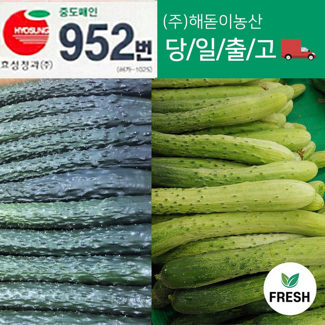 <해돋이농산> 국내산 오이 가시오이 청오이 백오이 다다기오이 특품 상품 못난이 10kg내외(상세페이지꼭참고하시기바랍니다.), 가시오이 상품(못난이) 10kg/34개 내외, 1개