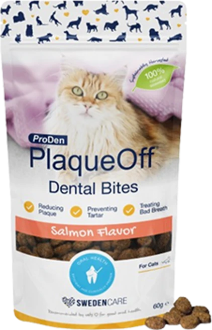 [신기펫케어] 프로덴 플라그오프 덴탈 바이트 캣 연어 60g, 1개, 구강/치석관리 - 쿠팡