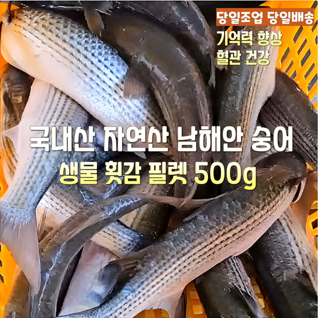 [산지직송] 국내산 자연산 새벽조업 당일배송 남해안 횟감용 숭어 1.5kg 손질후 500g 필렛 제철생선 선물용 가정용, 1세트, 자연산 횟감 숭어 1.5kg 손질후 500g 필렛