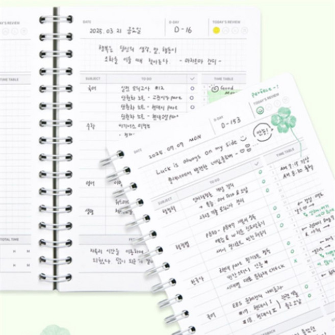 딜리고 행운의 데일리 스터디플래너 6개월용 공부플래너 공시생플래너 학습플래너, 크림