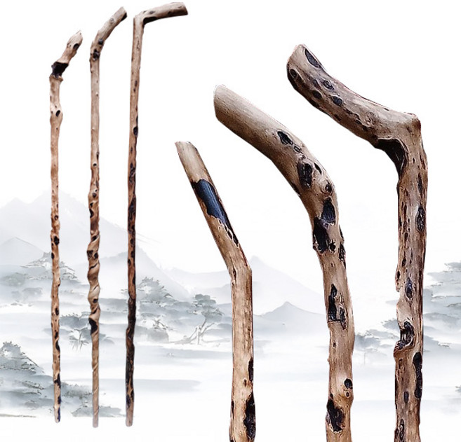 순수국산 연수목 주장자 용안목 등산스틱 노인지팡이 육환장 선물 걷기보조 노인용 감태나무, 1개, 1