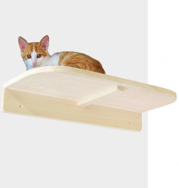 편백나무애완가구 편백나무 원목 고양이 벽 계단 캣타워, 일자형, 1개