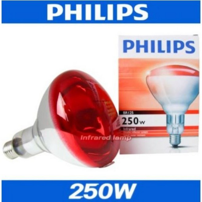 필립스 / 적외선램프 100W/150W/250W, 250W, 1개