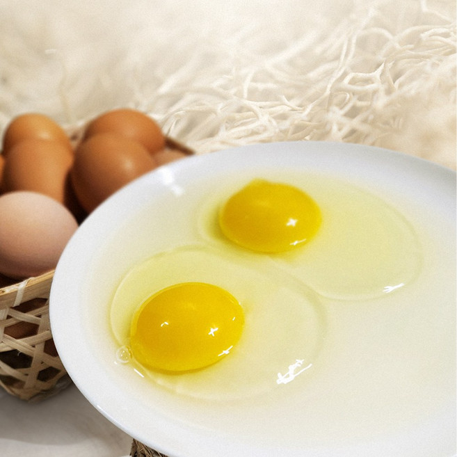 [청솔농장] 유정란 무항생제 계란 달걀 특대란, 1개, 20구