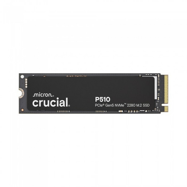 마이크론 Crucial P510 M.2 NVMe 대원씨티에스 (1TB), 1TB
