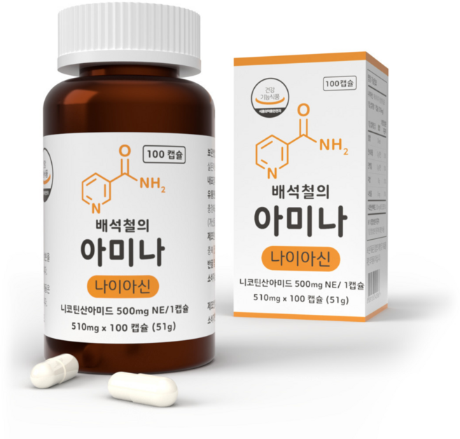 배석철의 아미나 고용량 비타민B3 미국산 나이아신아마이드 500mg, 1개, 100정