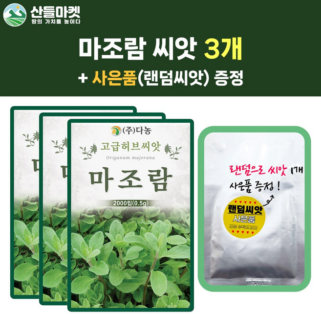 산들마켓 마조람 씨앗 2000립 마조람 꽃씨 허브 종자 3개+랜덤씨앗1개 증정, 1세트