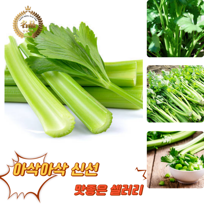 [굿피플] 셀러리 국내산셀러리 샐러리 celery 새러리 야채셀러리 셀러리스틱, 2kg, 1박스