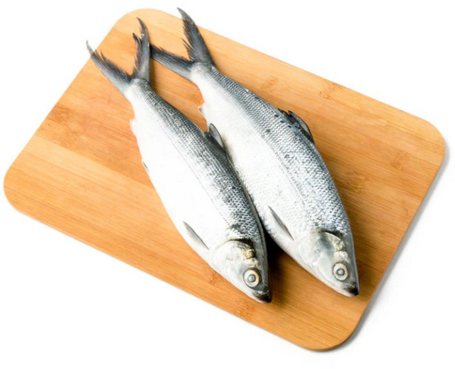 방구스 밀크피쉬 2미 Bangus Milk fish 1kg, 1개