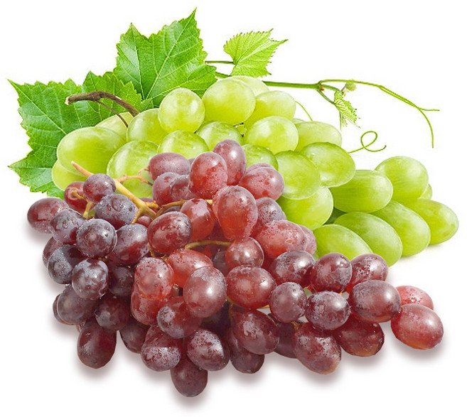 오렌지씨 포도거봉청포도적포도크림슨_1박스(8.2kg), 청포도_1박스(8.2kg)_size(XL)