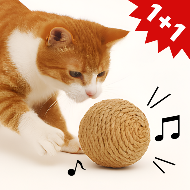 펫밈랩 소리나는 고양이 장난감 공 1+1, 1세트, 브라운