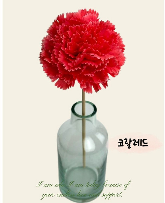 캔디프 카네이션 디퓨저스틱 카네이션스틱 카네이션꽃, 1개입, 1개, 코랄레드