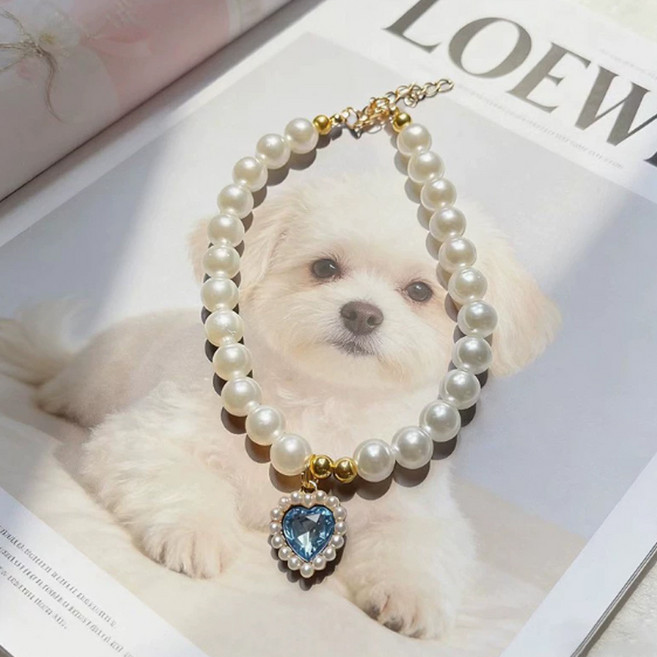 리노아 반려동물 선물 목걸이 펫 액세서리 고양이 강아지 공용 귀여운 장식 촬영 소품, 1개, 01블루