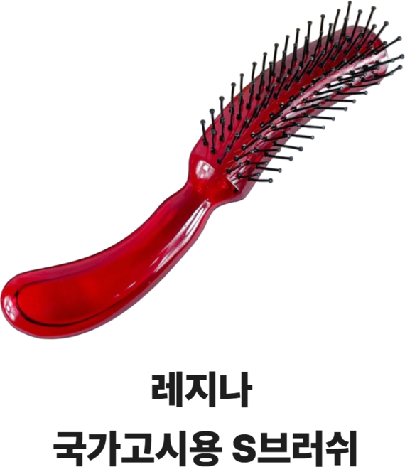 당일배송 레지나 위그 국가고시용 S브러쉬 에스브러쉬 미용사 자격증, 1개, 1개