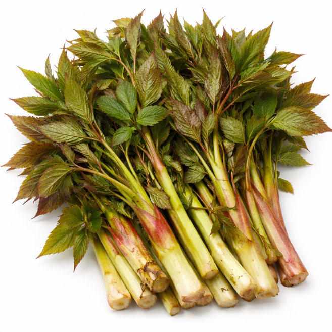 [산지직송] 봄나물 강원도 눈개승마 삼나물, 500g, 1박스