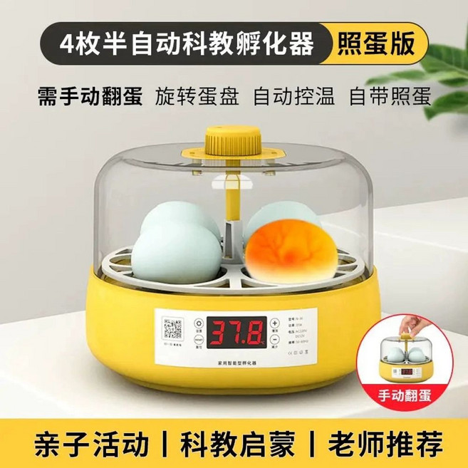 병아리부화기 새알 조류 키우기 오리알 거위알 자동 4란, I. 4 반자동 계란 모델