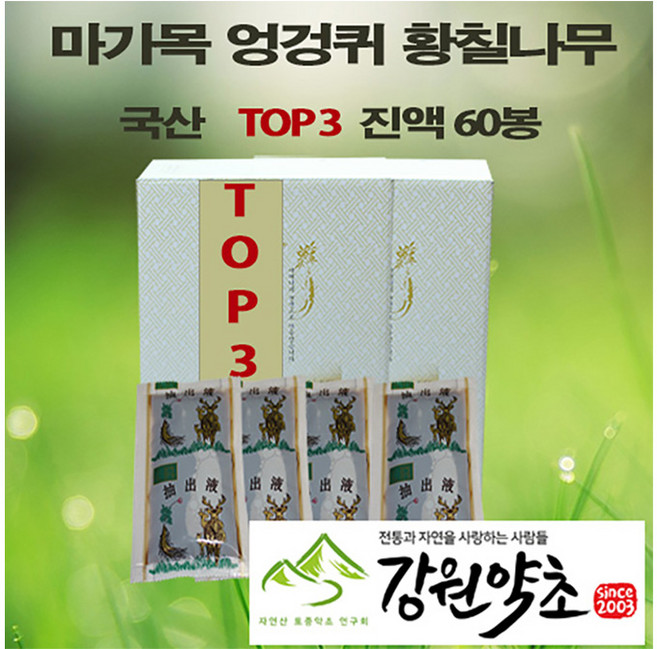 [강원약초] 국산 마가목엉겅퀴황칠나무 진액 X 120봉 강원도 정선 자연산 고흥 황칠나무 저온추출 48시간 100ml, 120개