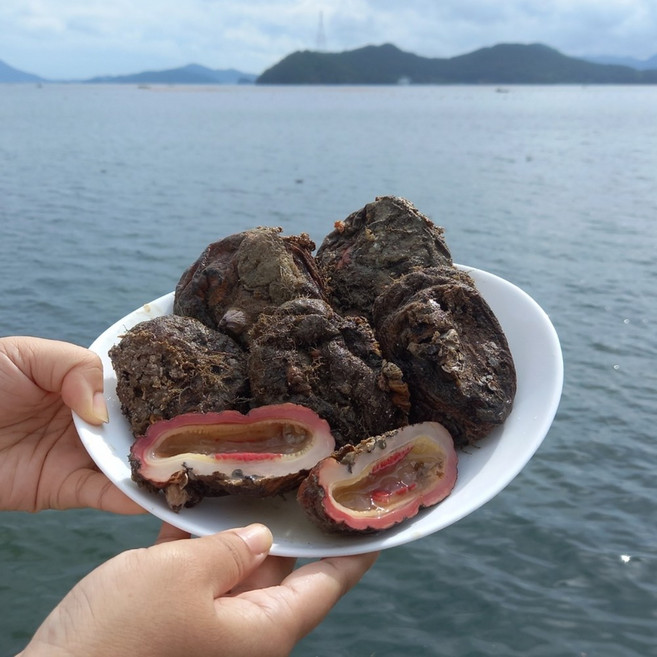 통영 돌멍게 제철 생물 멍게 산지직송, 8개, 횟감용 돌멍게 1kg