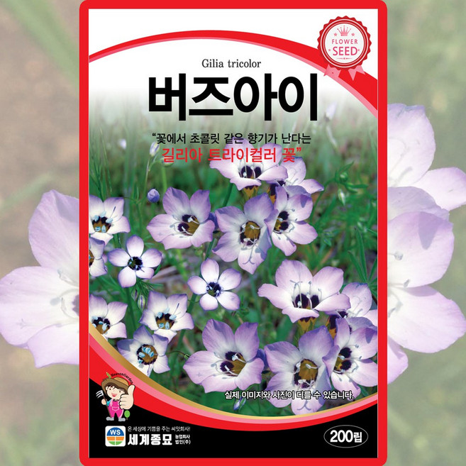 세계종묘 버즈아이 씨앗 200립 버즈아이 일년생 꽃씨 종자, 1개