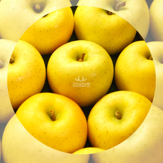 [산지직송] 리아마켓 고당도 시나노골드 황금 사과, 1개, 3kg (중과 10-14과)