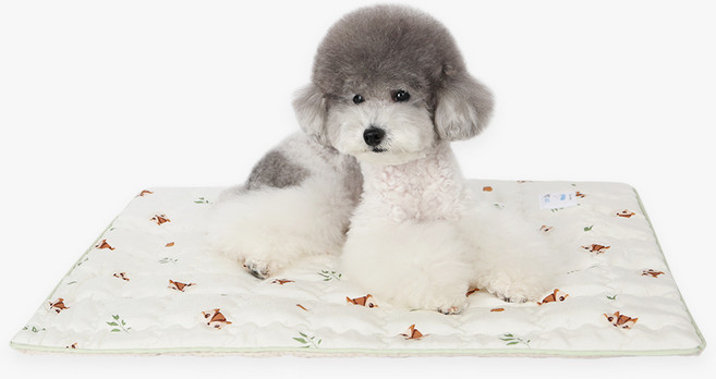 이츠독 반려동물 인견 쿨링 매트, 다람이크림, 1개