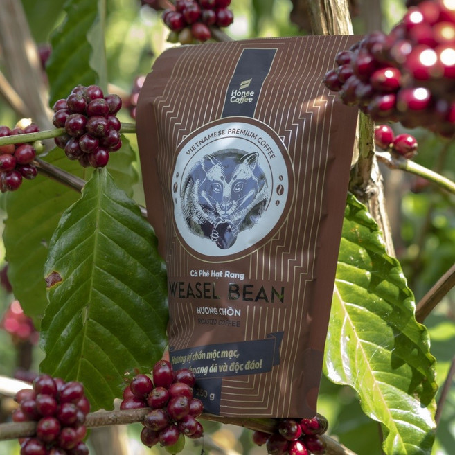 반미골드 베트남 루왁커피 족제비 위즐커피, 1개, 250g, 홀빈(분쇄안함)