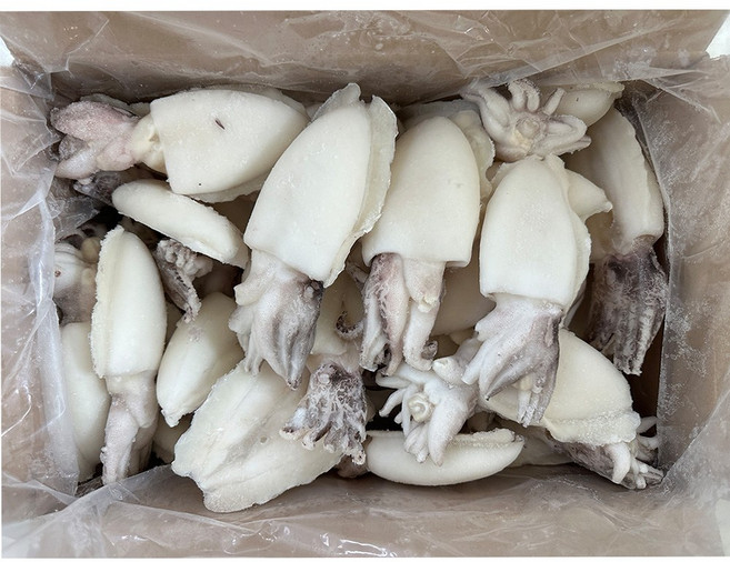 힘찬푸드 냉동 갑오징어홀크린 손질 내장제거, 1박스, 100/200