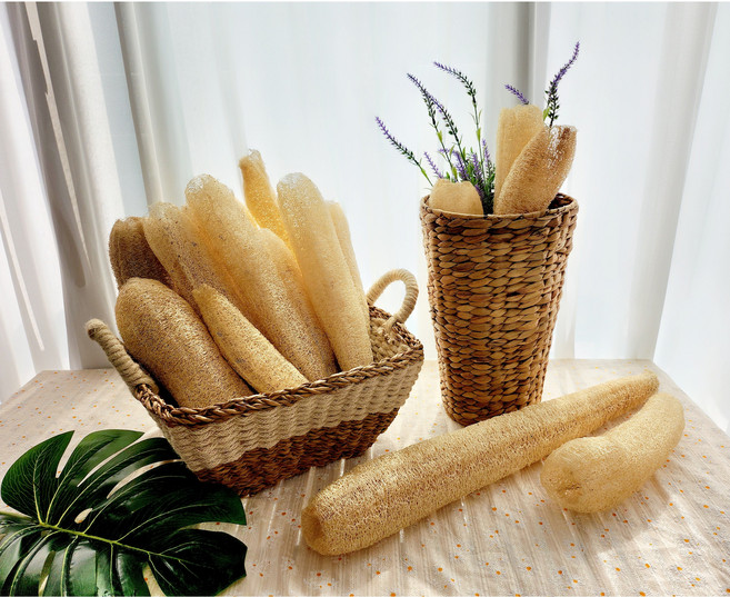 국산 천연 수세미 구례 지리산 2024년 수확 루파 설거지 샤워타월, 말랑말랑25-30cm, 1개, 1개입