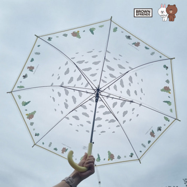 브라운앤프렌즈 POE 포레스트 투명 우산 60 아동 주니어 여자 성인 우산