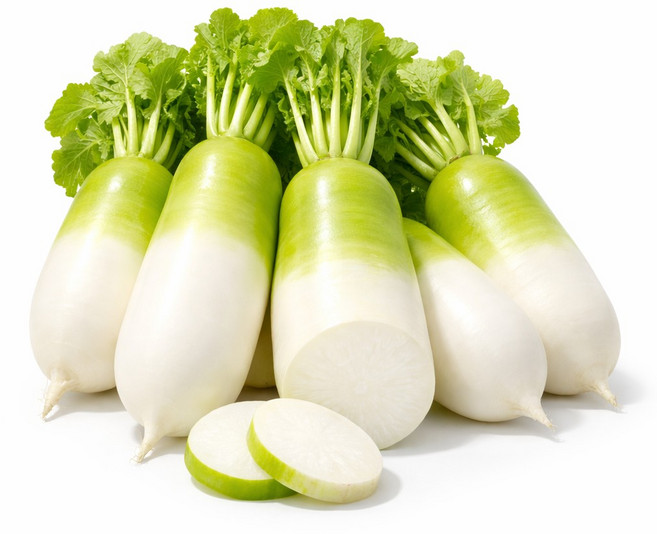 국내산 제철 햇무 제주도 월동무, 1박스, 5kg