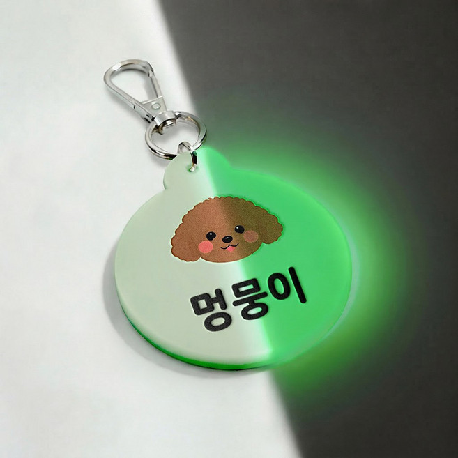 [블루나 디자인스튜디오]반려동물 야광 네임택 키링 강아지 애견 인식표 이름표 네임텍 인식표목걸이, 1개, 은색고리